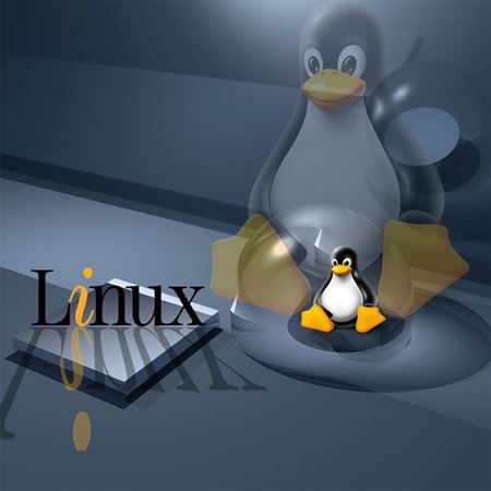 تصویر دسته بندی LINUX